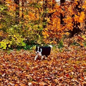 Meet your Posher, Terri